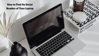 Find the Serial Number of Your Laptop