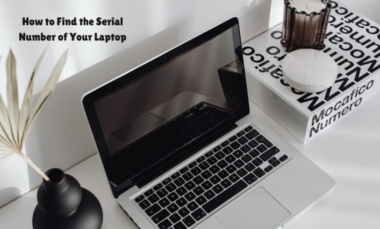 Find the Serial Number of Your Laptop