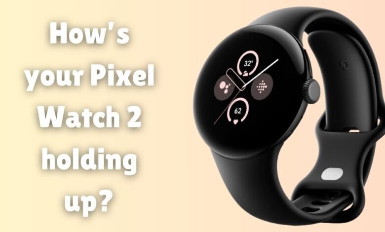 How’s your Pixel Watch 2 holding up?